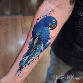 Tattoo Blue parrot on the forearm motif: colorful