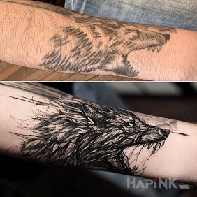 Tattoo Fixed wolf On the arm motif: black and gray style: sketch