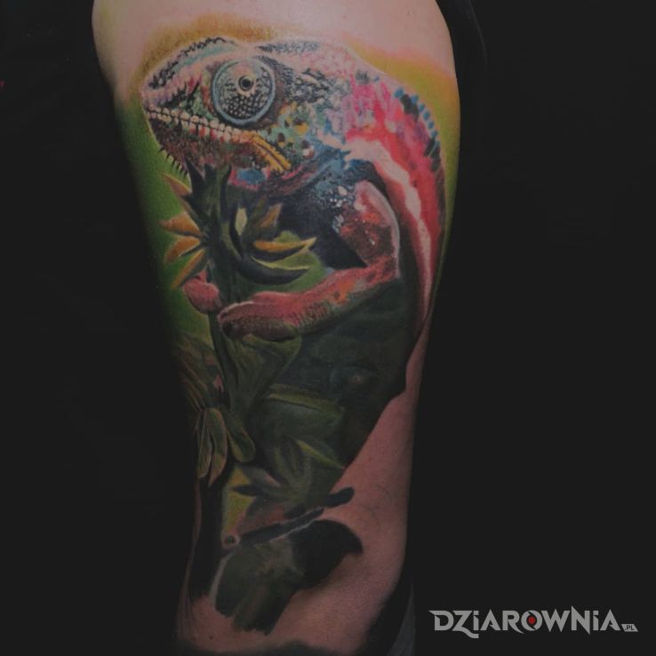 Tatuaż kameleon w motywie kolorowe i stylu realistyczne na ramieniu
