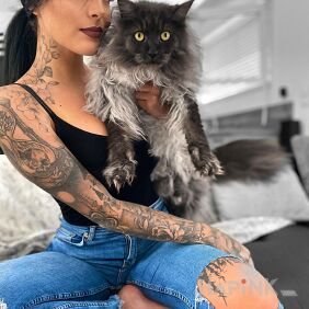 Tattoo Good kitty On the arm motif: sleeves style: realistic