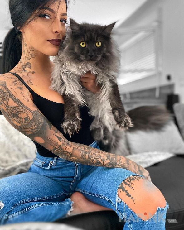 Tattoo Dobra kicia in sleeves motif and realistic style On the arm