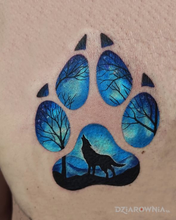 Tatuaż łapa wilk w motywie kolorowe i stylu graficzne / ilustracyjne na klatce