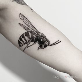 Tatuaż Pszczoła / Osa / Trzemiel / Owad na ręce motyw: owady styl: realistyczne