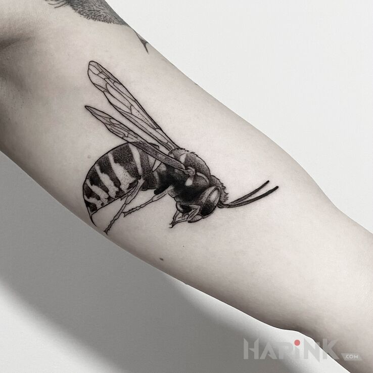 Tattoo Pszczoła / Osa / Trzemiel / Owad in black and gray motif and realistic style On the arm