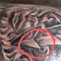 Pielęgnacja tatuażu - Żółty wyciek czy to normalne ?