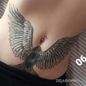 Tatuaż Orzeł na brzuchu na brzuchu motyw: czarno-szare styl: realistyczne