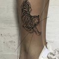 Wycena tatuażu - Proszę o wycenę tatuażu tygrysa