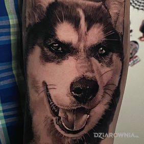 Tatuaż Frodo na ręce motyw: zwierzęta styl: realistyczne