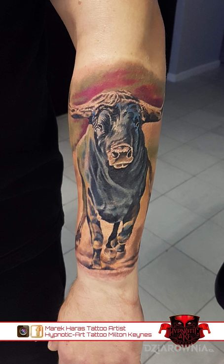 Tatuaż zajefajny byk w motywie 3D na ramieniu
