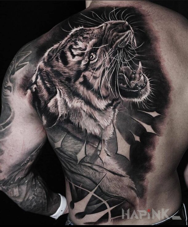 Tattoo Czarno-szary tygrys in animals motif and realistic style on the shoulder blades