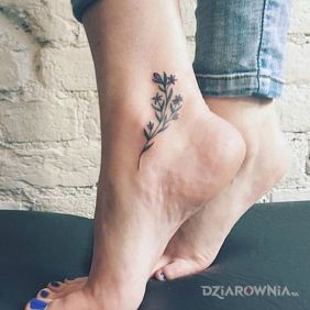Tatuaż Gałązka przy kostce przy kostce motyw: florystyczne styl: realistyczne