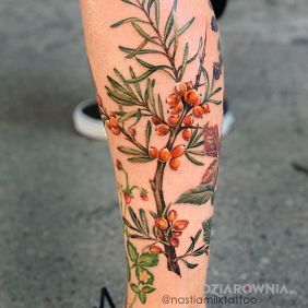 Tatuaż Gałązka rokitnika na łydce motyw: natura styl: realistyczne