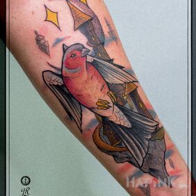 Tattoo Finch on the forearm motif: colorful style: neo-traditional