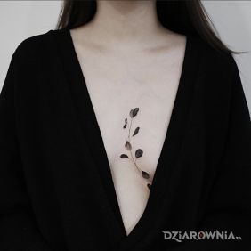 Tatuaż Liściasta gałązka na piersiach motyw: czarno-szare styl: graficzne / ilustracyjne