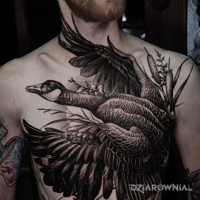 Tatuaż Kaczka na obojczyku motyw: czarno-szare styl: realistyczne