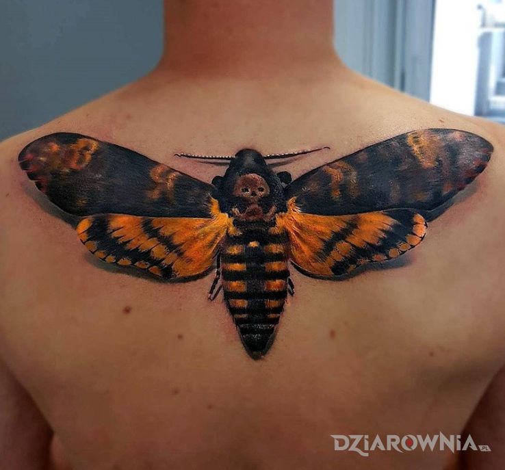 Tatuaż cykada 3d w motywie motyle na plecach