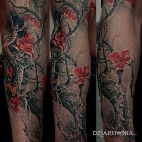 Tatuaż Gałązka na przedramieniu motyw: kwiaty styl: realistyczne