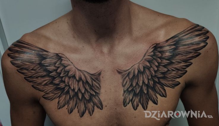 Tatuaż skrzydła w motywie 3D i stylu szkic na obojczyku