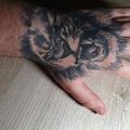 Pomysł na tatuaż - Kontynuuaacja tatuażu lwa