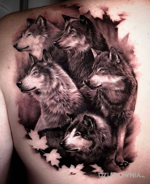 Tatuaż wataha wilków w motywie czarno-szare i stylu realistyczne na plecach
