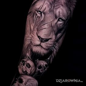 Tatuaż Lew z bliznami na ręce motyw: 3D styl: realistyczne