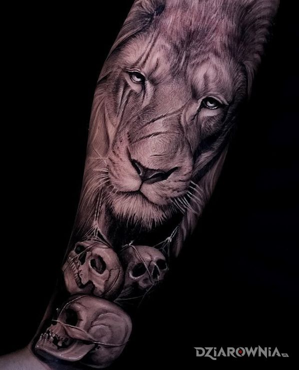 Tatuaż lew z bliznami w motywie czaszki i stylu realistyczne na przedramieniu
