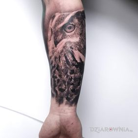 Tatuaż Sowa na ręce motyw: zwierzęta styl: realistyczne
