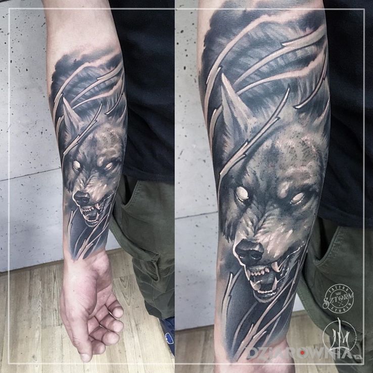 Tatuaż wilk w motywie zwierzęta i stylu realistyczne na przedramieniu