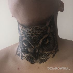Tatuaż Sowa na gardle motyw: czarno-szare styl: realistyczne