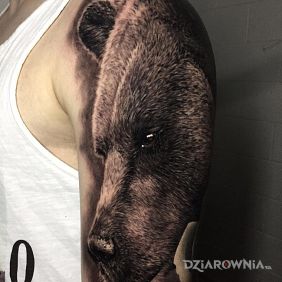 Tatuaż Grizzle na ramieniu motyw: zwierzęta styl: realistyczne