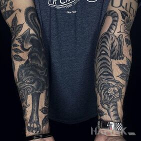 Tattoo Wolf on the right and tiger on the left on the forearm motif: black and gray style: graphic / illustrative