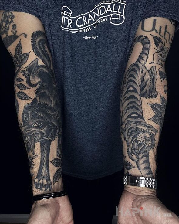 Tattoo Wilk na prawej i tygrys na lewej in black and gray motif and graphic / illustrative style on the forearm