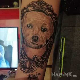 Tattoo Kaja On the arm motif: animals style: realistic