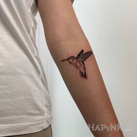 Tattoo Hummingbird (microrealism) on the forearm motif: animals style: realistic