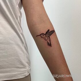 Tatuaż Kolibri ( microrealizm) na przedramieniu motyw: zwierzęta styl: realistyczne