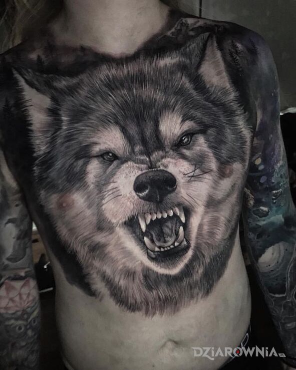Tatuaż kawał wilka w motywie czarno-szare i stylu realistyczne na klatce