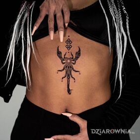 Tatuaż Skorpion na inny sposob na brzuchu motyw: znaki zodiaku styl: graficzne / ilustracyjne