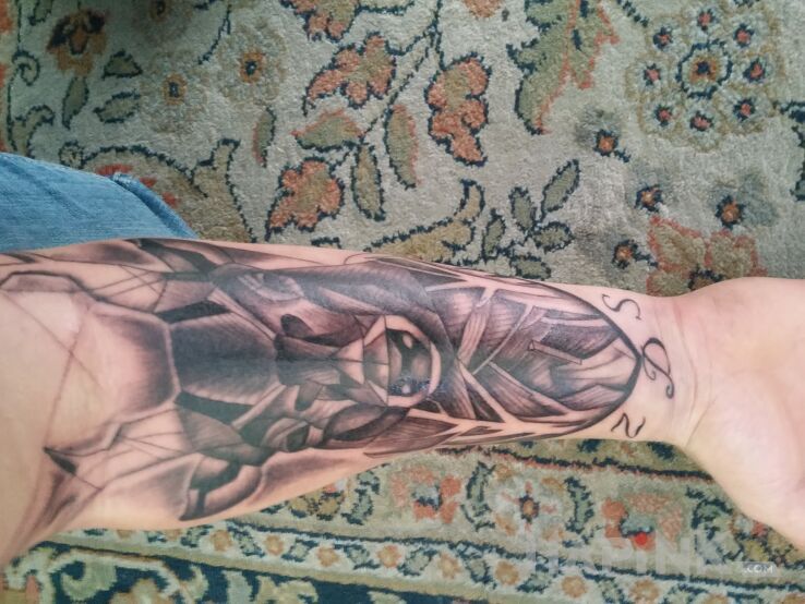 Tattoo Co sądzicie o tym? in animals motif on the forearm