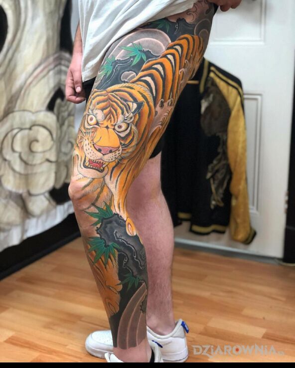 Tatuaż przepiękny tygrys w motywie kolorowe i stylu japońskie / irezumi na łydce
