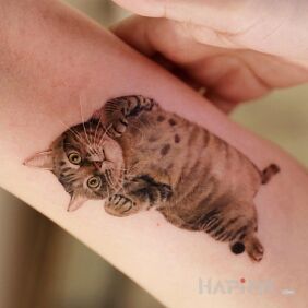 Tattoo Kitty on the forearm motif: colorful style: realistic