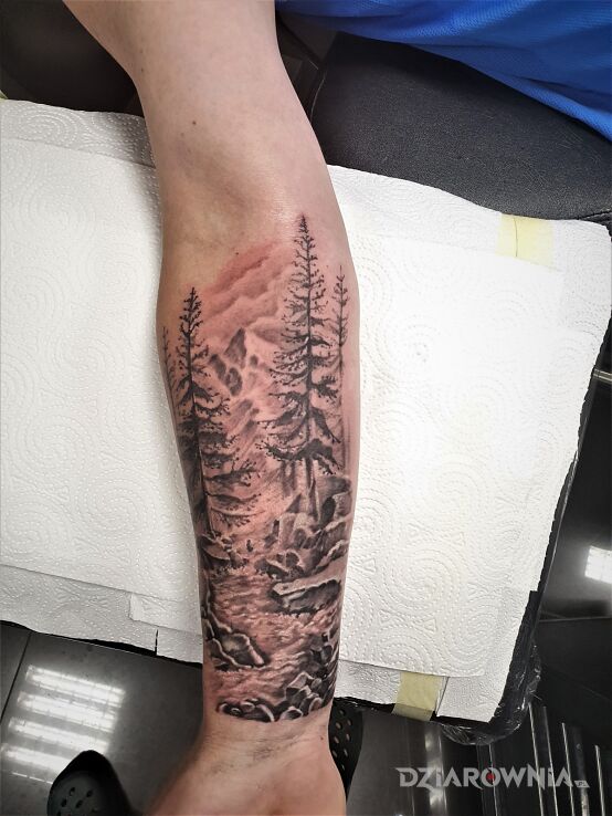 Tatuaż las góry potok w motywie 3D i stylu realistyczne na przedramieniu