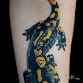 Tattoo Salamander on the forearm motif: colorful style: realistic