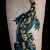 Salamandra