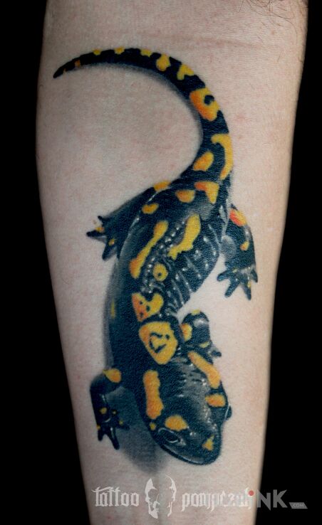 Tattoo Salamandra in 3D motif and realistic style On the arm