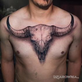 Tatuaż Czaszka zwierzaka na klatce motyw: czaszki styl: realistyczne