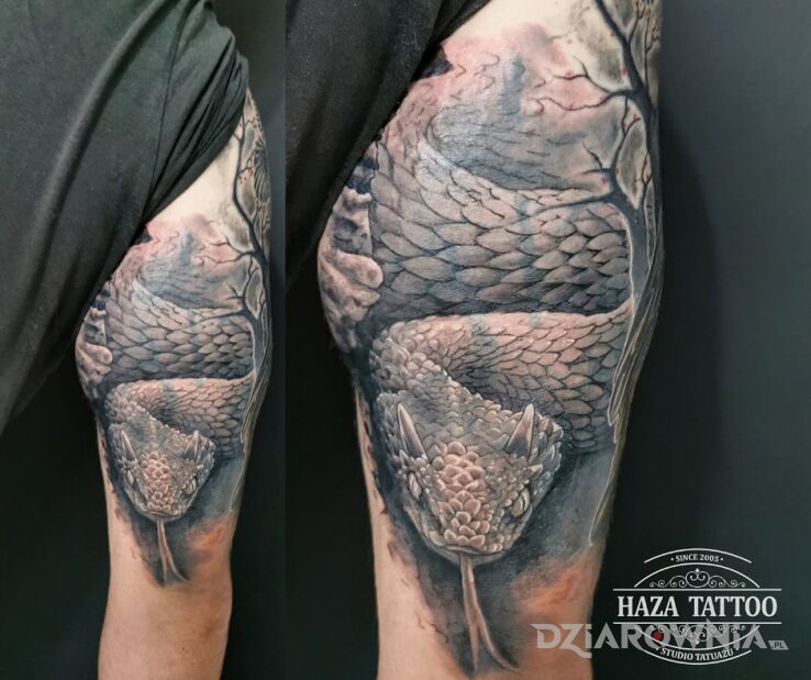 Tatuaż żmija zygzakowata w motywie zwierzęta i stylu realistyczne na ramieniu