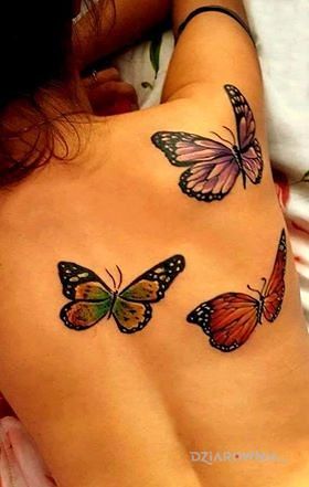 Tatuaż motyle na plecach w motywie motyle na plecach