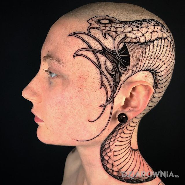 Tatuaż wielki wąż w motywie czarno-szare i stylu graficzne / ilustracyjne na głowie