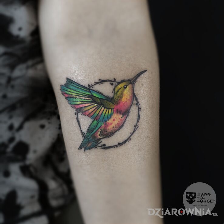 Tatuaż koliber w motywie zwierzęta i stylu watercolor na przedramieniu