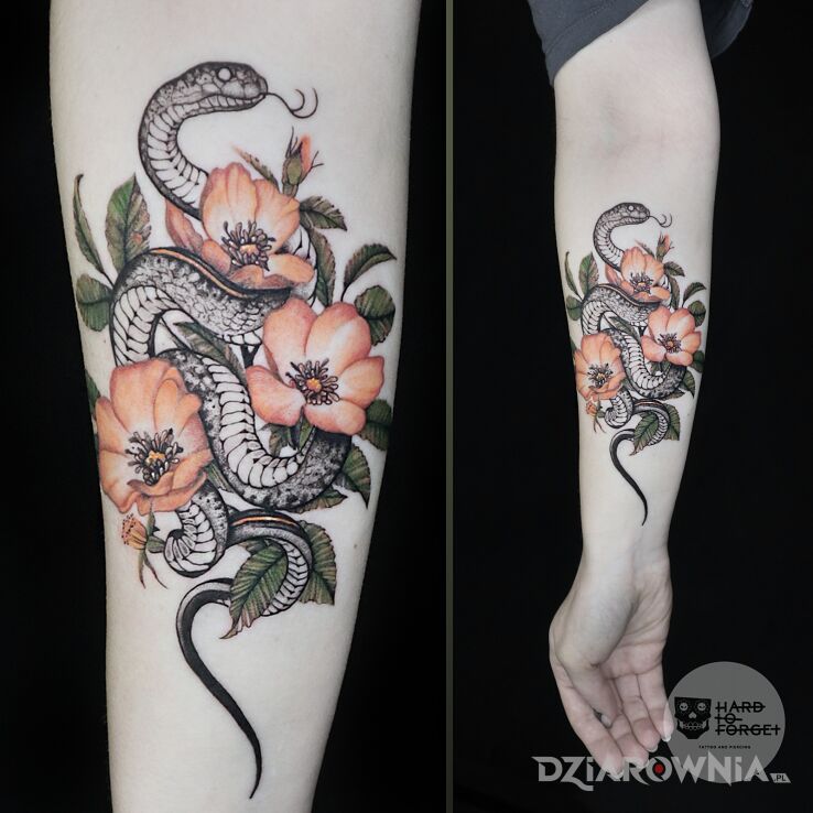 Tatuaż wąż w motywie zwierzęta i stylu graficzne / ilustracyjne na przedramieniu
